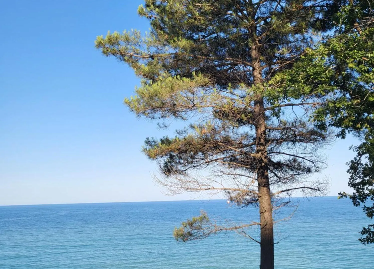 Ecoclub Hotel Varna