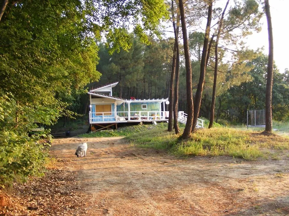 Ecoclub Hotel Varna 0*,